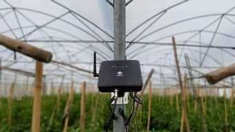 農(nóng)業(yè)物聯(lián)網(wǎng)的基礎(chǔ)與核心 網(wǎng)絡(luò)工程的視角